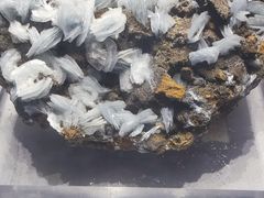 -湖南省地质博物馆