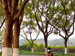 -昆山城市生态森林公园