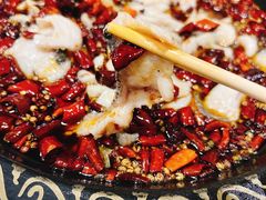 -金三可市井水煮鱼(金碧园店)