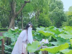 -陈家山荷花公园