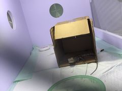 -爱诺耐芙动物医院(万博店)