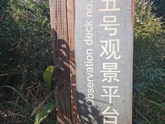 -杨梅坑