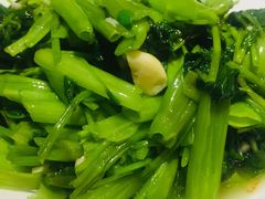 空心菜-广信传说