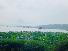 -湖畔居茶楼(湖滨店)
