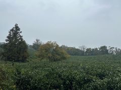 -南京市江宁方山