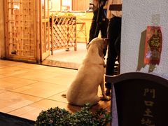 -朕悦鹧鸪饭私房菜