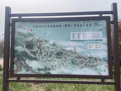 -北京鹫峰国家森林公园