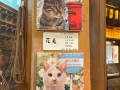 -猫的天空之城概念书店(丽江古城饮玉巷店)