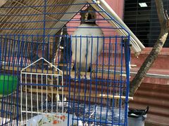 -柬埔寨国家博物馆