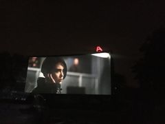 -枫花园汽车电影院(朝阳公园店)