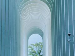 -中国宣纸文化园