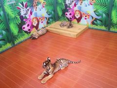 -杭州野生动物世界