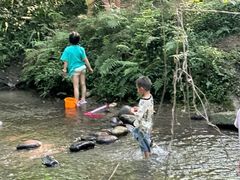 -桤木河湿地公园