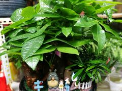 -小辣椒·桂林本地菜(鸿运店)