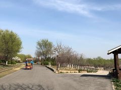 -永定河休闲森林公园