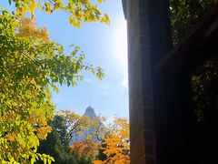 -北京动物园-畅观楼