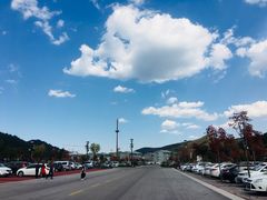 -铜川市金锁关石林