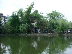 绿树环湖-东莞市可园博物馆