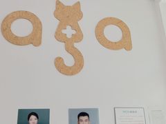 -纳吉亚猫专科动物医院·北北分院