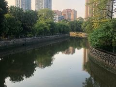 -晓港公园