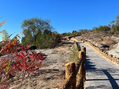 -白水寺森林公园