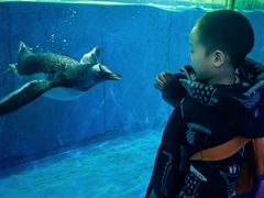 -泉城欧乐堡海洋极地世界