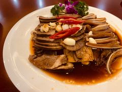 -杨正宗烤全羊(北二环店)