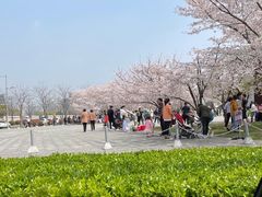 -龙美术馆西岸馆-停车场