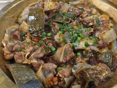 -明本湛江鸡•海鲜小厨(陈家祠店)