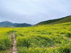-扁都口生态休闲旅游区