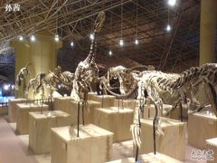 -世界恐龙谷景区