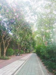 点击看大图 -深圳阳光医疗美容医院·旗舰店