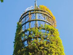 -三鹰之森吉卜力美术馆