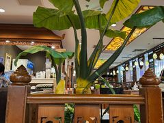 -荷花泰菜(东方新天地店)