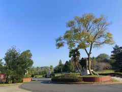 -金孔雀温泉旅游度假村