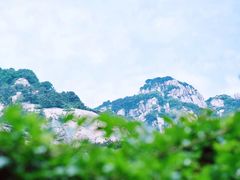 -泰山风景名胜区