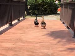 -厦门悦华酒店