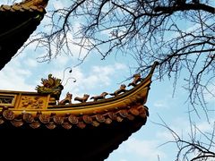 -普陀山风景名胜区-法雨禅寺