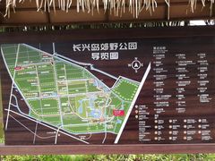 -上海长兴岛郊野公园