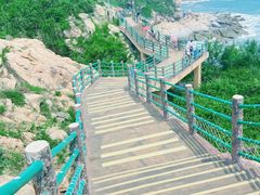 -广东惠东海龟国家级自然保护区