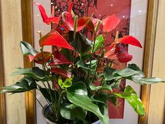 -杭州香格里拉·香宫中餐厅