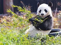 -济南喜来登酒店