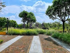 -春花秋色城市公园