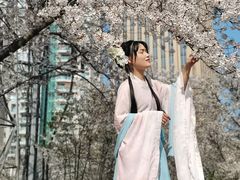 -西北湖绿化广场
