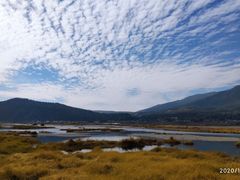 -腾冲北海湿地