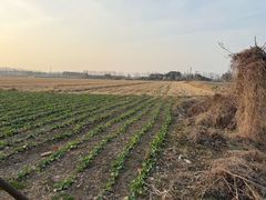 -嘉北郊野公园