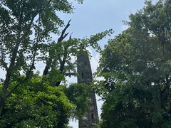 -上海佘山国家森林公园天马山园