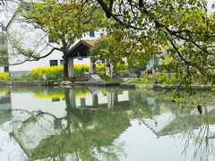 -同里国家湿地公园