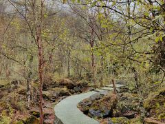 -叠溪松坪沟景区