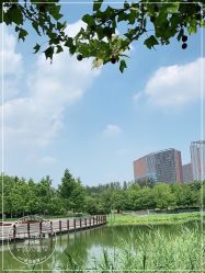 -大望京儿童游乐场